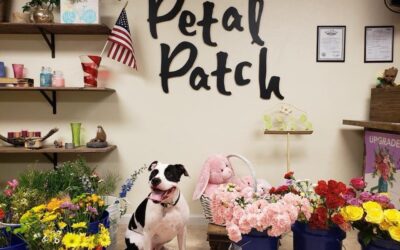 The Petal Patch: Where Flowers Feel Like Home