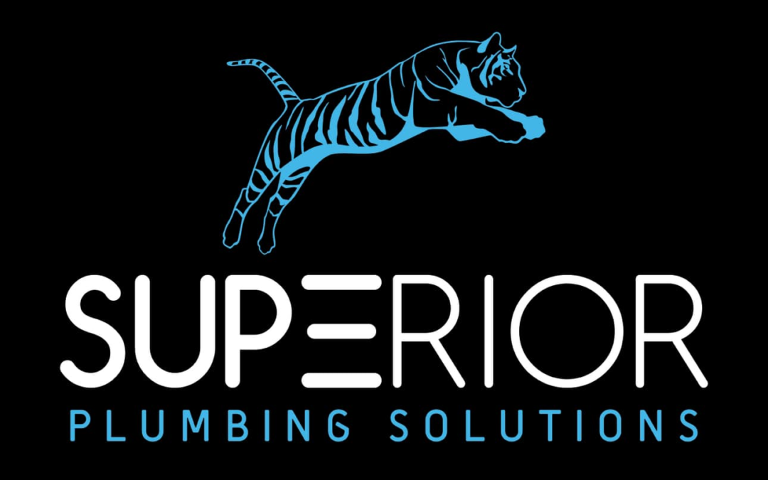 Superior Plumbing Solutions: Breaking the Stereotype in Cape Coral, Florida