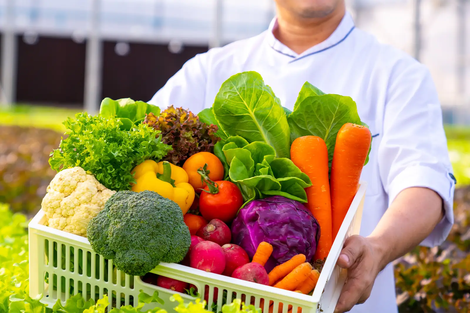 southwest-produce-home-delivery